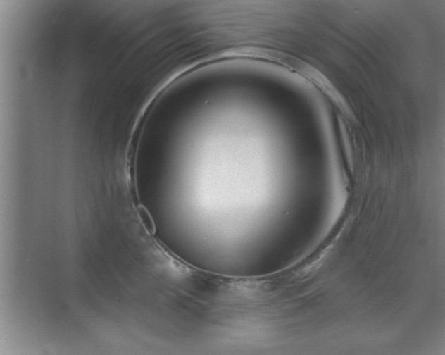 X0000073830908200608101200