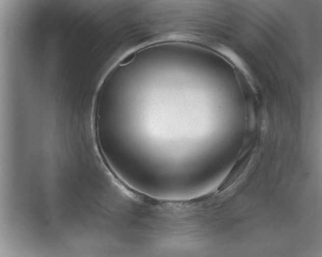 X0000073830910200608101200