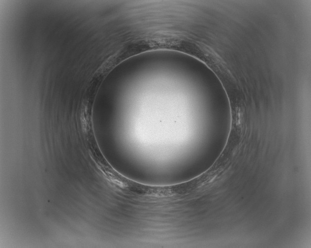 X0000073830915200608101159