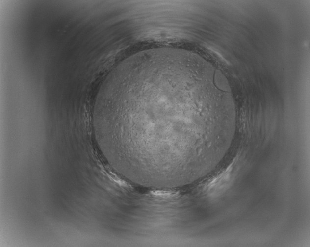 X0000073830917200608101159