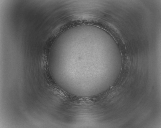 X0000073830918200608101159