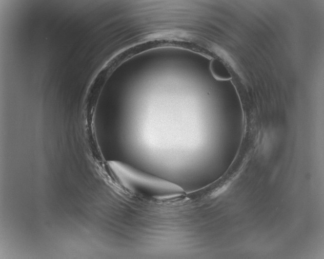 X0000073830923200608101159