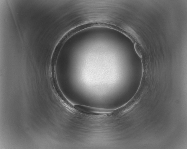 X0000073830924200608101159