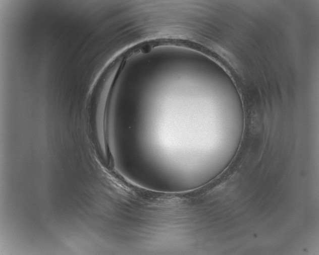 X0000073830926200608101159