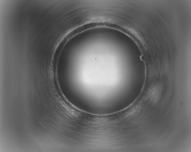 X0000073830927200608101159