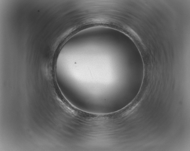 X0000073830930200608101159