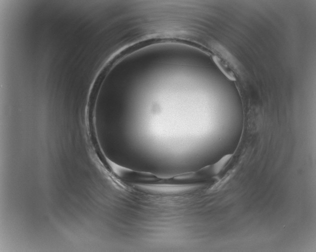 X0000073830932200608101159