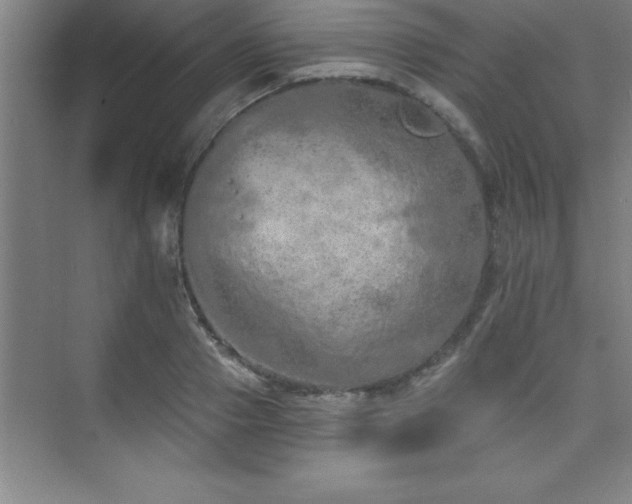 X0000073830937200608101200