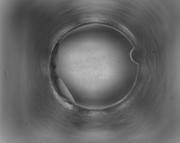 X0000073830938200608101200