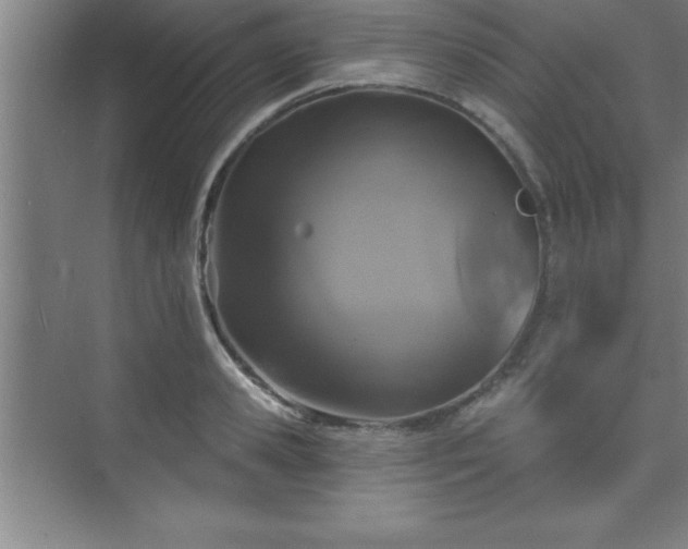 X0000073830941200608101200