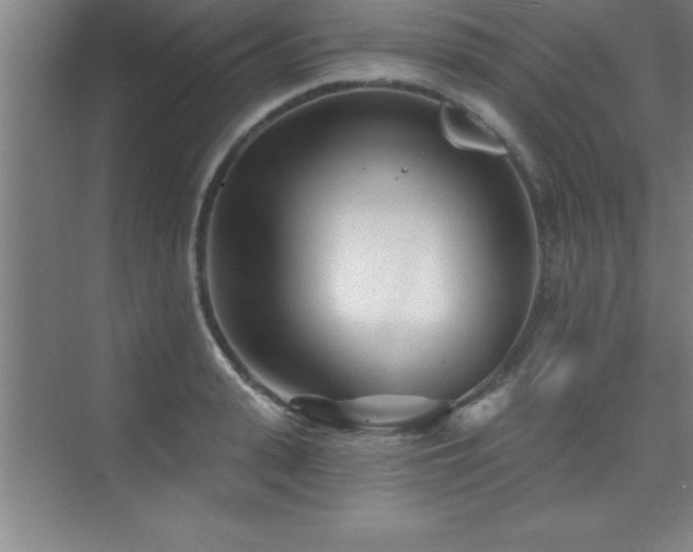 X0000073830943200608101200