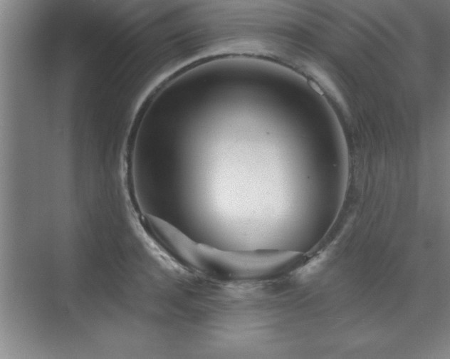 X0000073830944200608101200