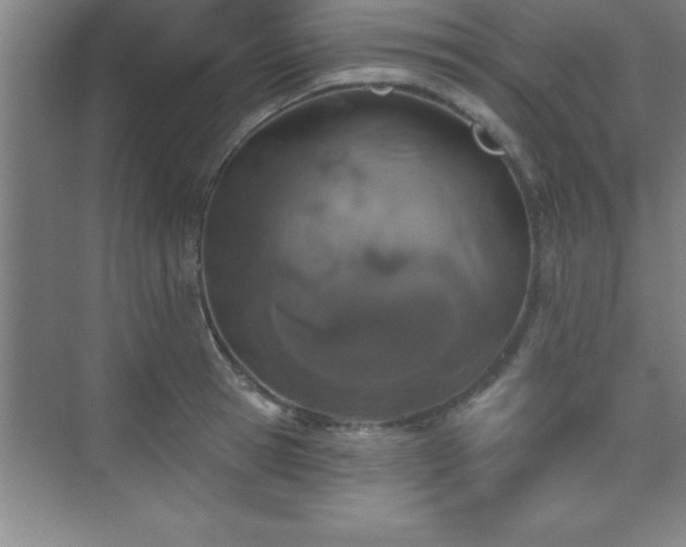 X0000073830945200608101200