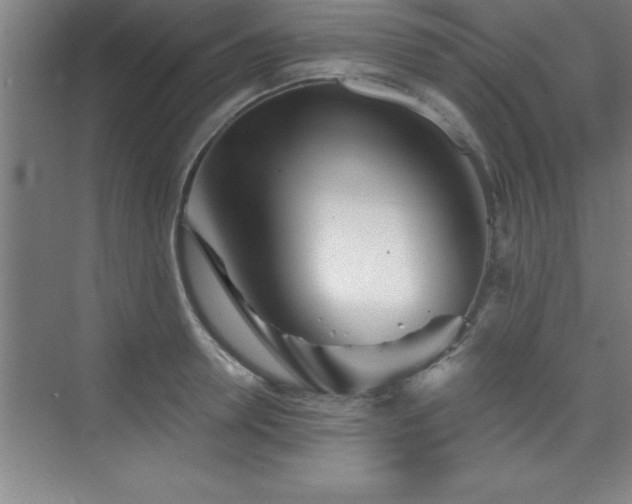 X0000073830946200608101200