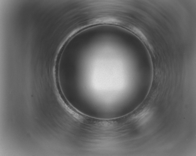 X0000073830947200608101200