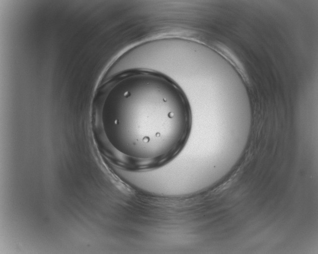 X0000073830948200608101200