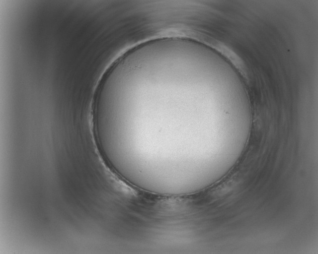 X0000073830950200608101200