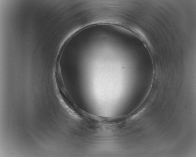 X0000073830952200608101200