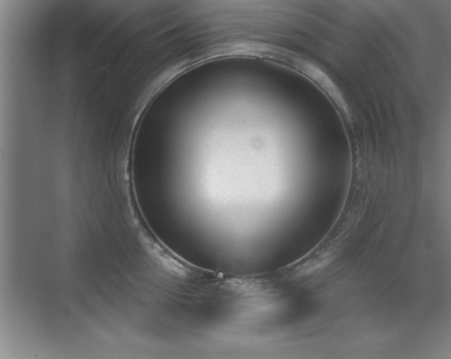 X0000073830954200608101200