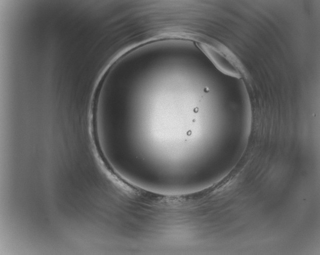 X0000073830955200608101200