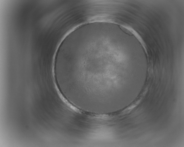 X0000073830957200608101200