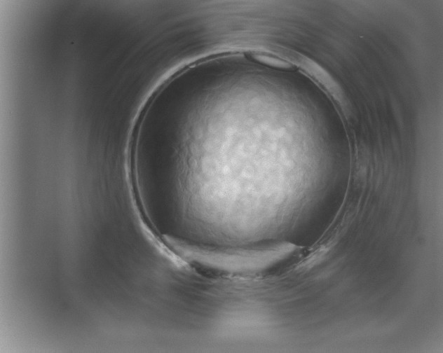 X0000073830958200608101200