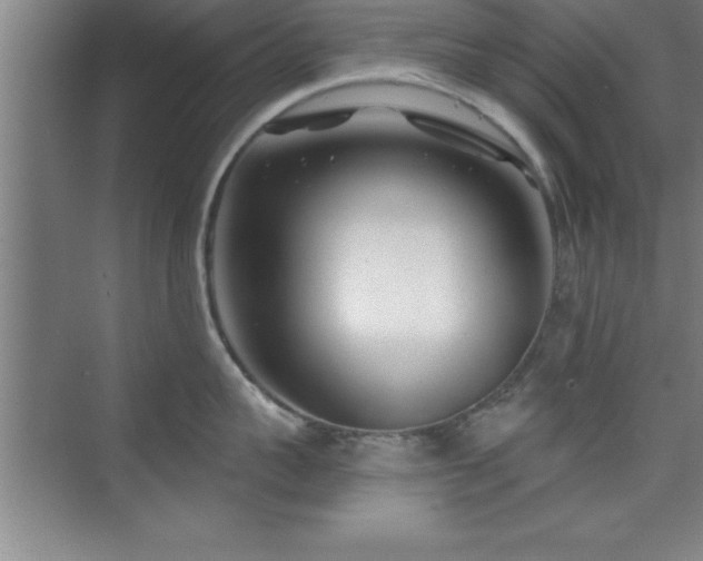 X0000073830959200608101200