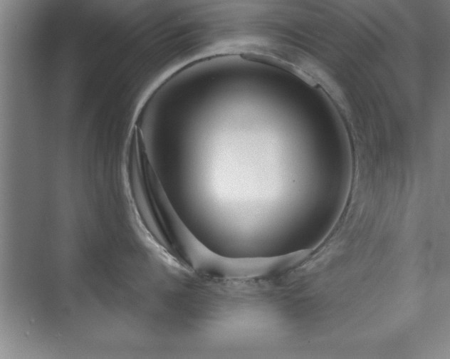 X0000073830960200608101200