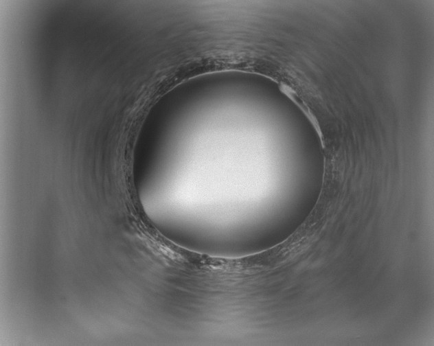 X0000073830961200608101159