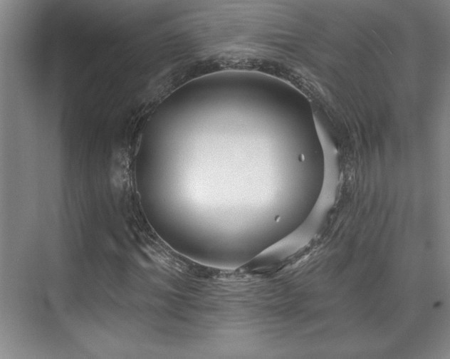 X0000073830964200608101159