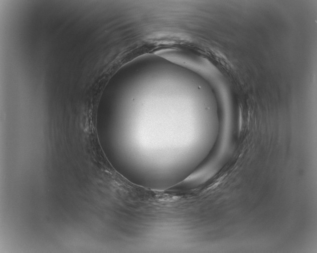 X0000073830965200608101159