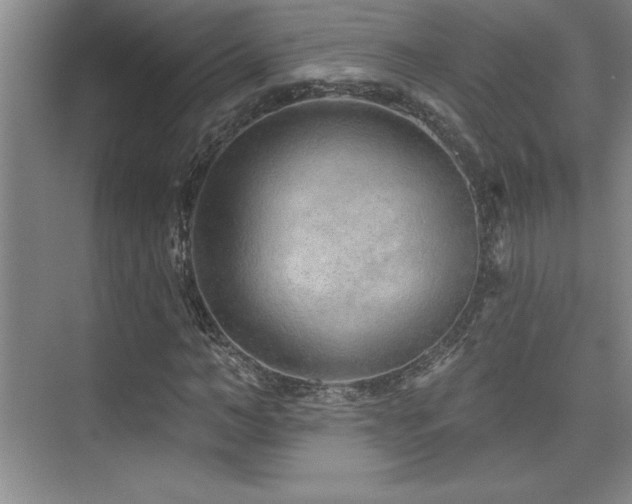 X0000073830966200608101159