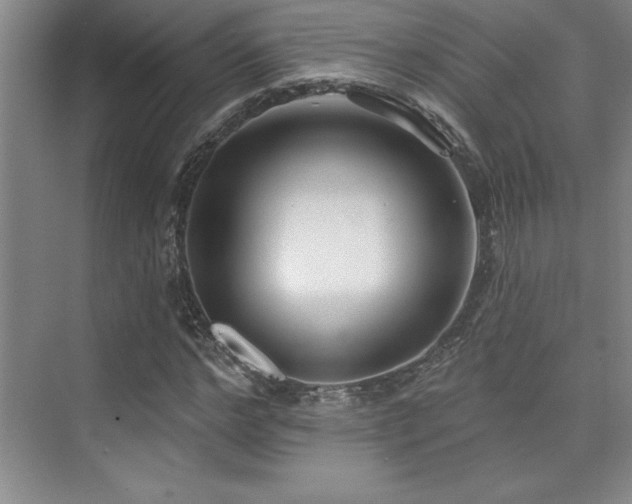 X0000073830968200608101159