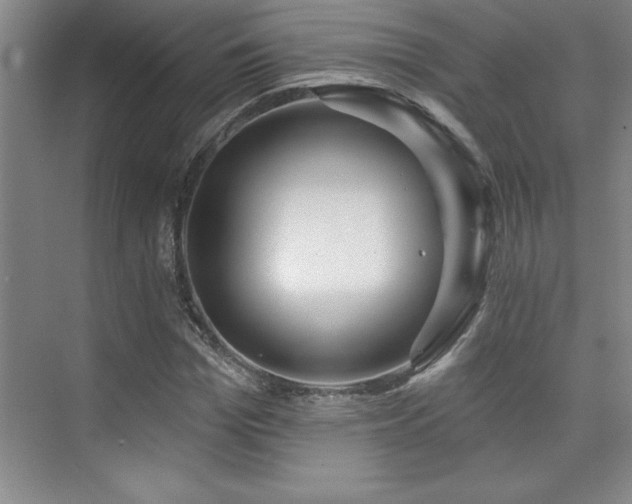 X0000073830969200608101159