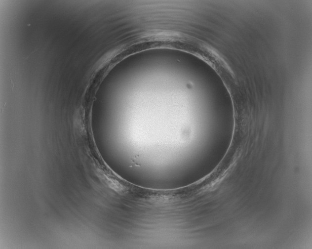 X0000073830970200608101159