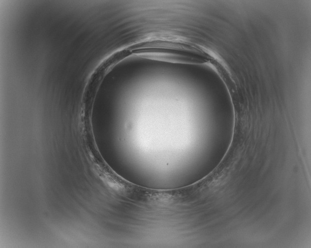 X0000073830971200608101159