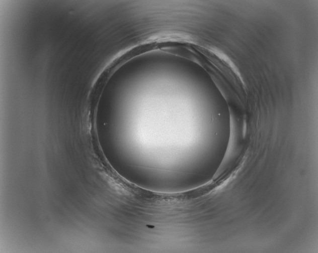 X0000073830973200608101159