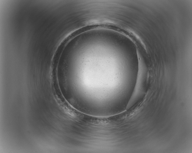 X0000073830975200608101159