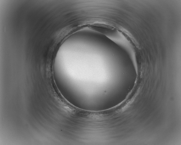 X0000073830977200608101159