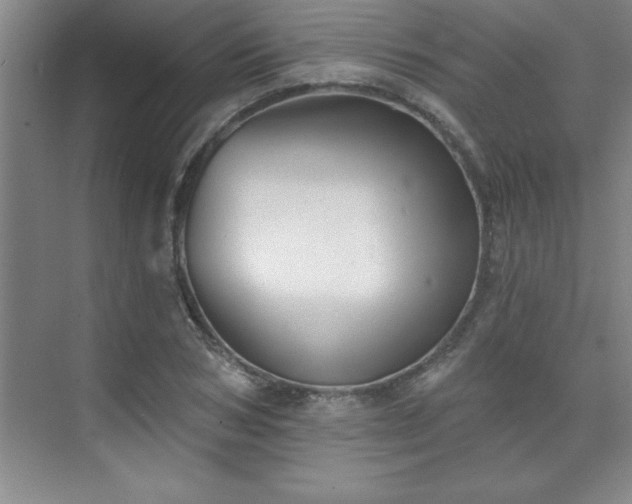 X0000073830978200608101159