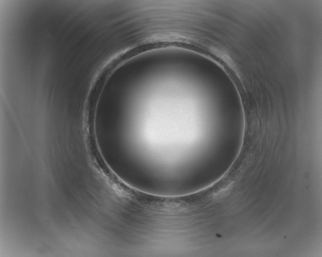 X0000073830979200608101159