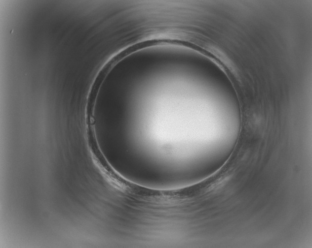 X0000073830980200608101159