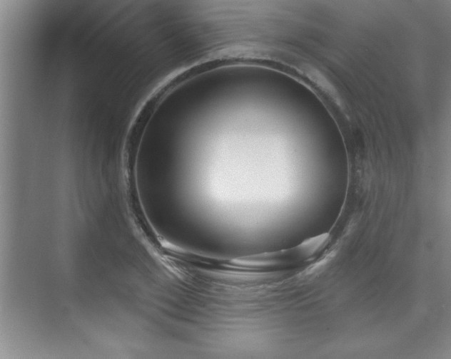 X0000073830981200608101159