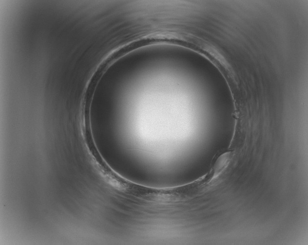 X0000073830984200608101159