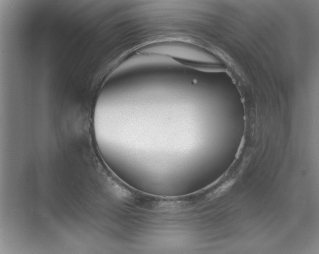 X0000073830985200608101159