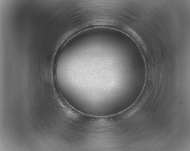 X0000073830986200608101159