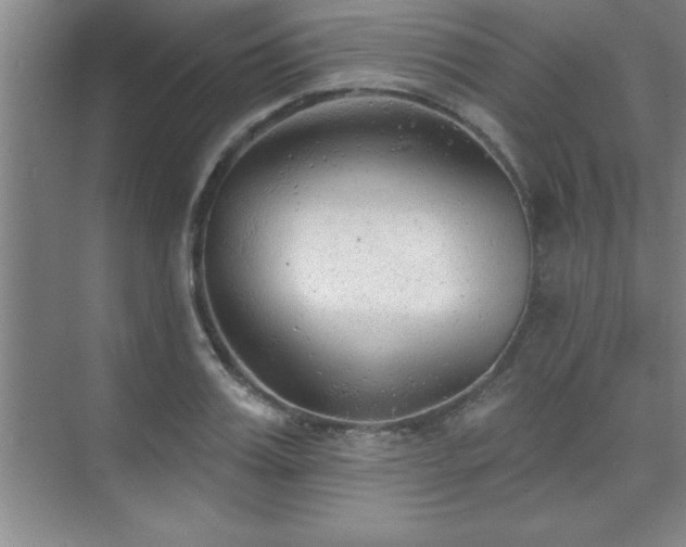 X0000073830987200608101159