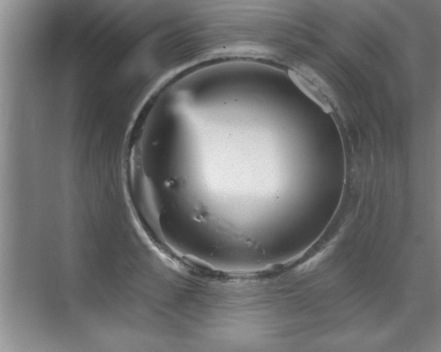 X0000073830989200608101159