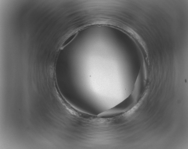 X0000073830993200608101159