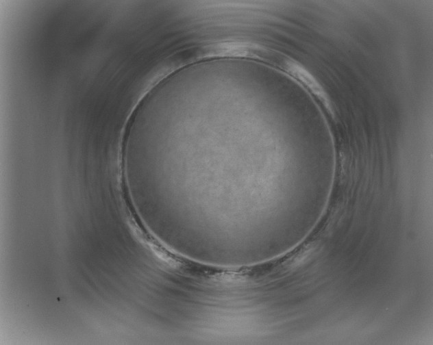 X0000073830994200608101159